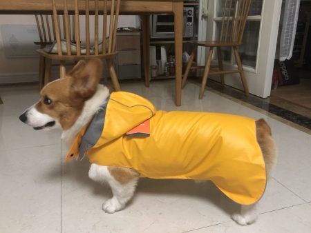 Dolamoon pet dog raincoat, waterproof and moisture-proof, small dog cloak and hooded raincoat Sale