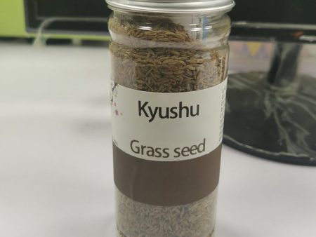 Kyushu plant seeds, planted on the soil and watered can grow, the back garden grass seeds Online Hot Sale