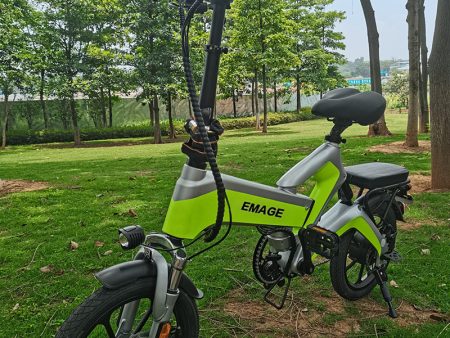 EMAGE electric bicycle 350W, 14 inch electric bicycle, 10A battery Fashion