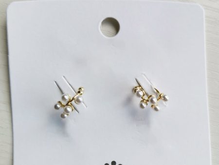 Jewellery Type C Earring Metal Gold Pearl Earrings Exaggerated Personality Ladies Atmosphere Stud Earring Discount