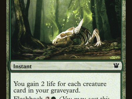 Gnaw to the Bone [The List] Sale