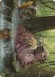 Basking Capybara Art Card [The Lost Caverns of Ixalan Art Series] Sale