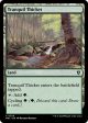 Tranquil Thicket [Murders at Karlov Manor Commander] on Sale