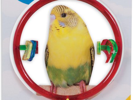 Jw - Small Animal bird - Activitoys Ring Clear Bird Toy For Sale